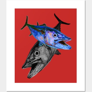 Dogtooth tuna Posters and Art